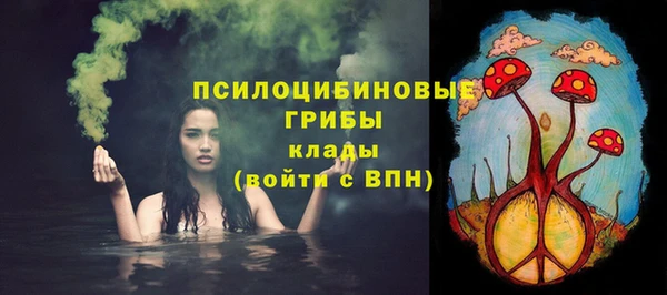 дживик Мегион