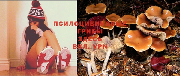 спиды Медногорск