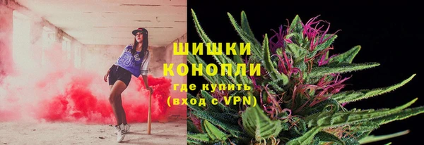 спиды Медногорск