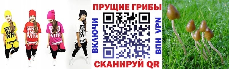 Купить закладки  Артёмовский  Галлюциногенные грибы Psilocybine cubensis 